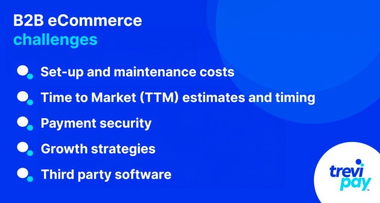 B2B eCommerce challenges bullet points