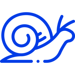 Snail Icon